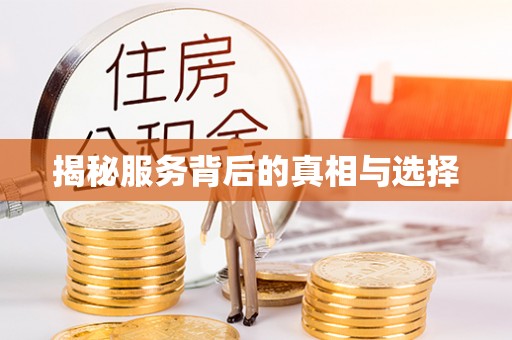 灵石揭秘服务背后的真相与选择