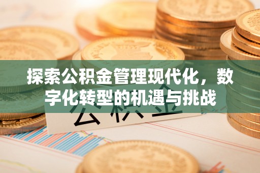 灵石探索公积金管理现代化，数字化转型的机遇与挑战