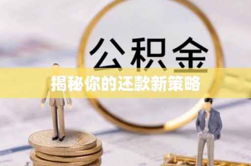 灵石揭秘你的还款新策略