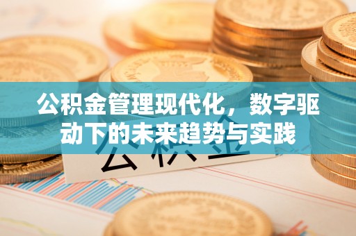 灵石公积金管理现代化，数字驱动下的未来趋势与实践
