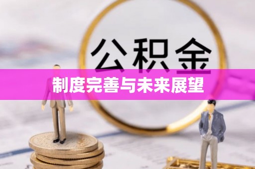 灵石制度完善与未来展望