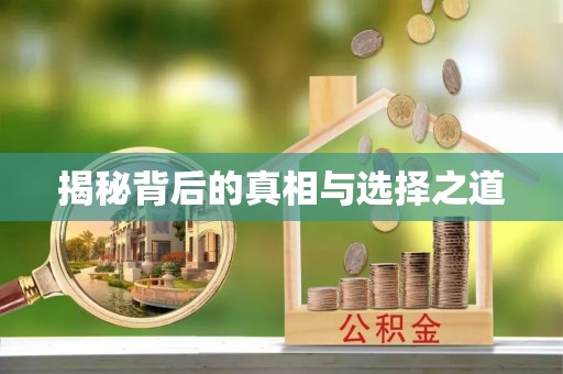 灵石揭秘背后的真相与选择之道