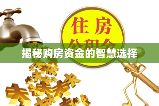 灵石揭秘购房资金的智慧选择