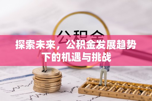 灵石探索未来，公积金发展趋势下的机遇与挑战