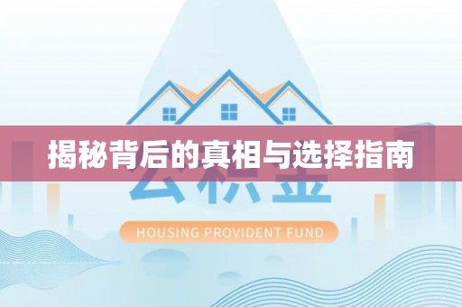 灵石揭秘背后的真相与选择指南