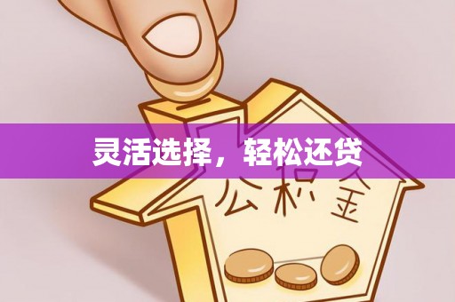 灵石灵活选择，轻松还贷