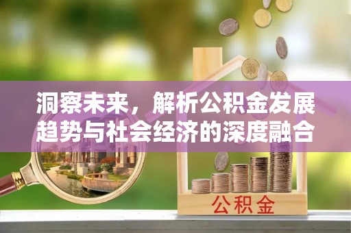 灵石洞察未来，解析公积金发展趋势与社会经济的深度融合