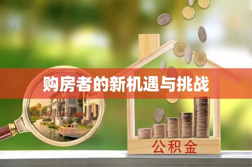 灵石购房者的新机遇与挑战