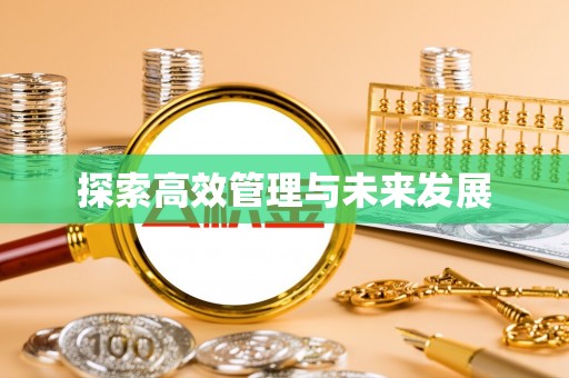 灵石探索高效管理与未来发展