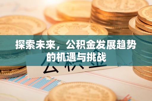灵石探索未来，公积金发展趋势的机遇与挑战