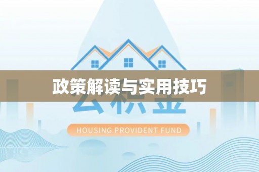 灵石政策解读与实用技巧