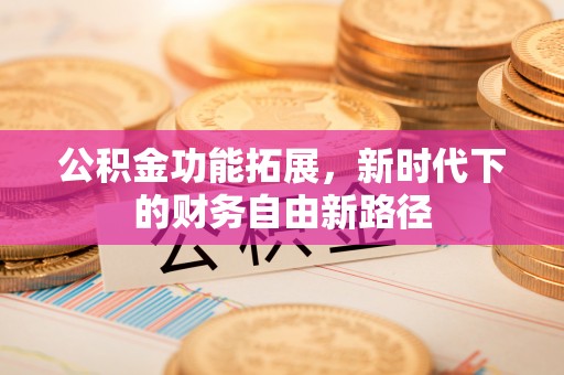 灵石公积金功能拓展，新时代下的财务自由新路径
