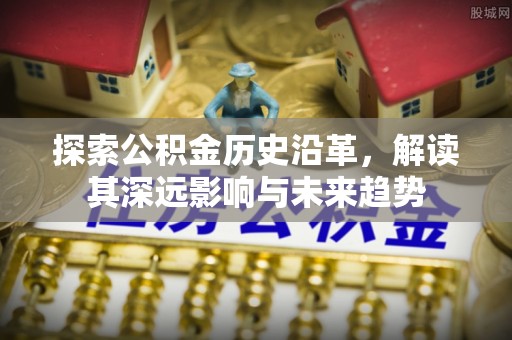 灵石探索公积金历史沿革，解读其深远影响与未来趋势
