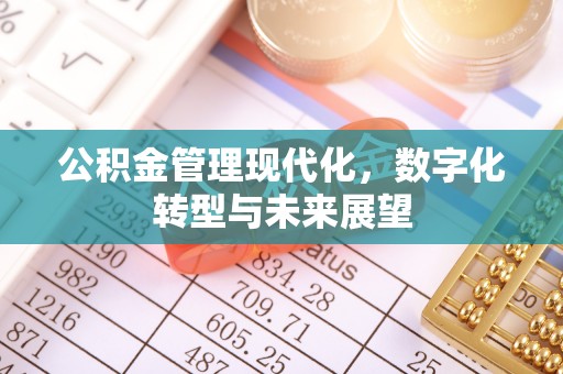灵石公积金管理现代化，数字化转型与未来展望