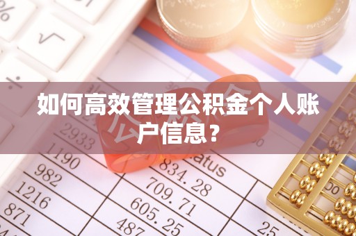 灵石如何高效管理公积金个人账户信息？