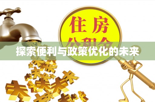 灵石探索便利与政策优化的未来