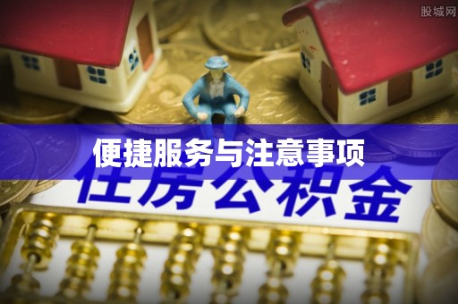 灵石便捷服务与注意事项