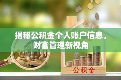 灵石揭秘公积金个人账户信息，财富管理新视角