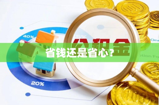 灵石省钱还是省心？