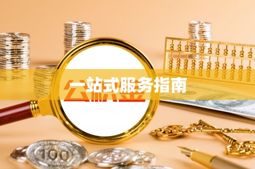 灵石一站式服务指南