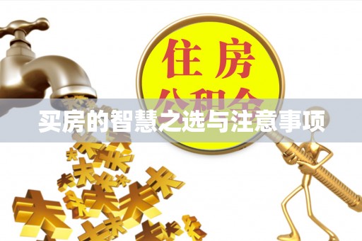 灵石买房的智慧之选与注意事项