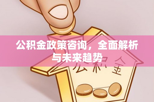 灵石公积金政策咨询，全面解析与未来趋势